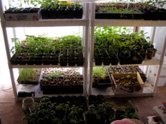 P4156878.JPG