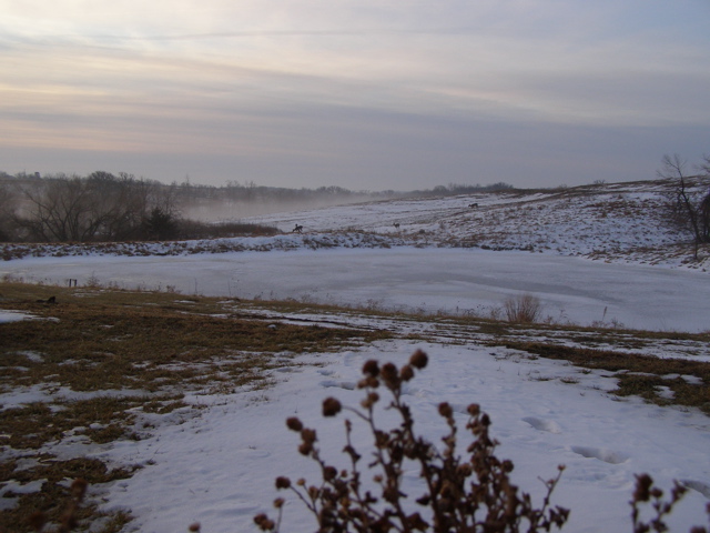 P1066361.JPG