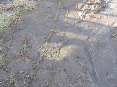 P1286426.JPG