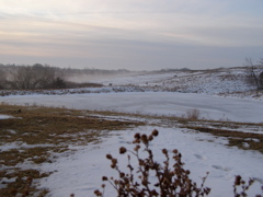 P1066361.JPG