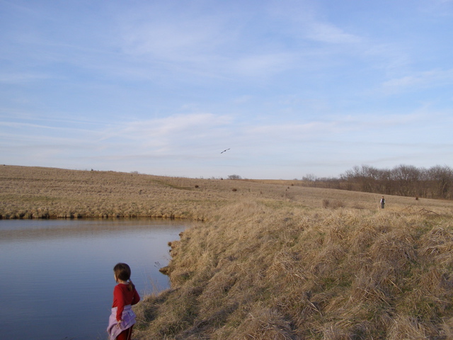 P4020841.JPG