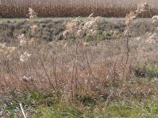 PB033477.JPG