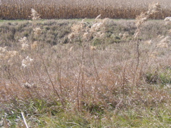 PB033477.JPG