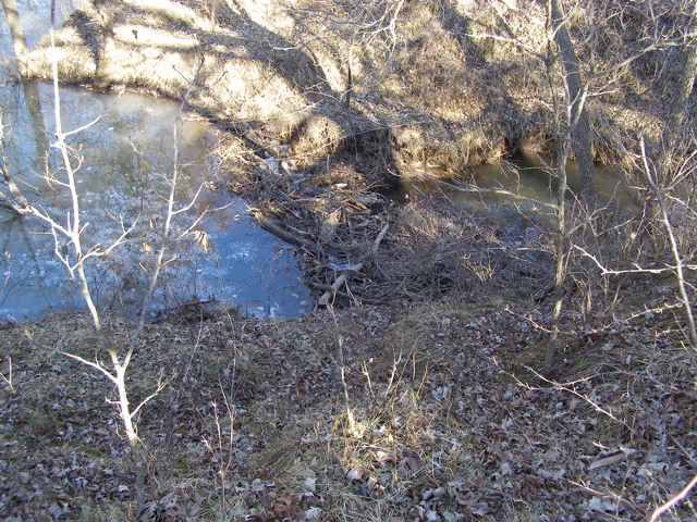 PC103771.JPG