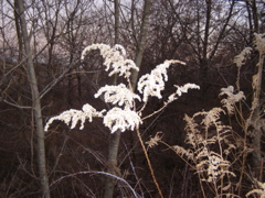 PC103753.JPG