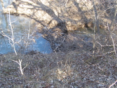 PC103771.JPG