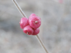 PC103724.JPG