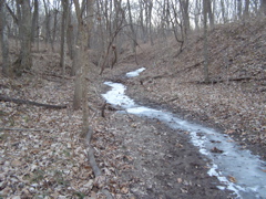 PC103737.JPG