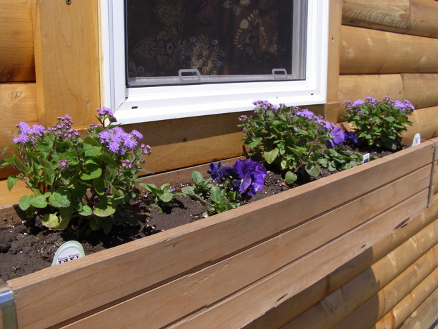 P4294587.JPG