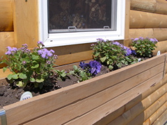 P4294587.JPG