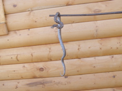 P4204462.JPG