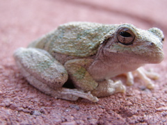 P5274860.JPG