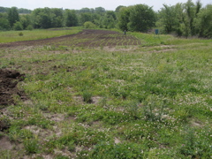 P5284873.JPG