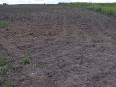 P6024874