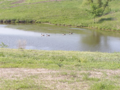 P5204791.JPG