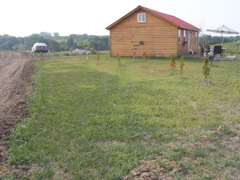 P6175159.JPG