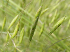 P6115065