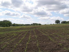 P6115077