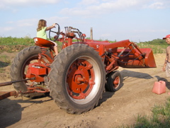 P7015263.JPG