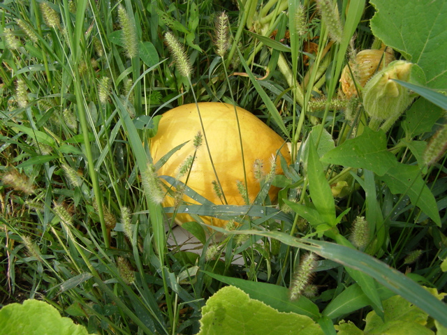 P8055444.JPG
