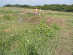 P7285383