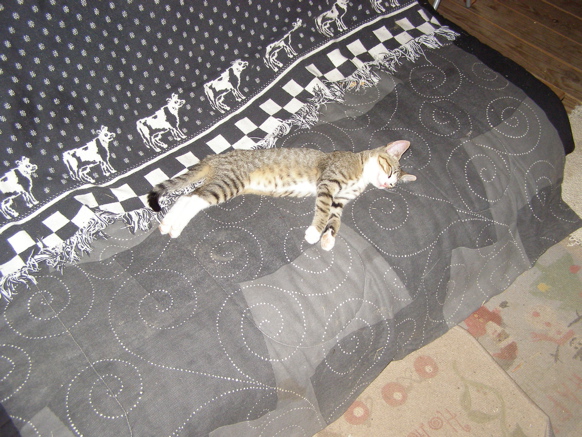 P8195499.JPG