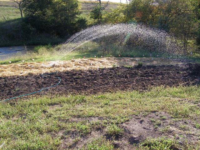 P9225746.JPG