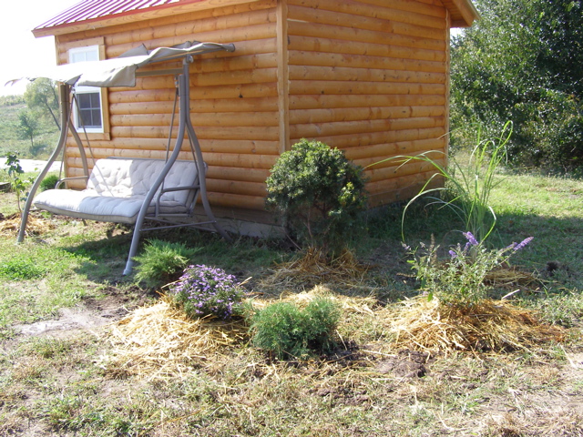 P9235768.JPG