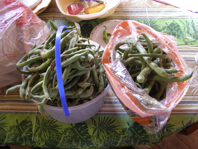 P9295779.JPG