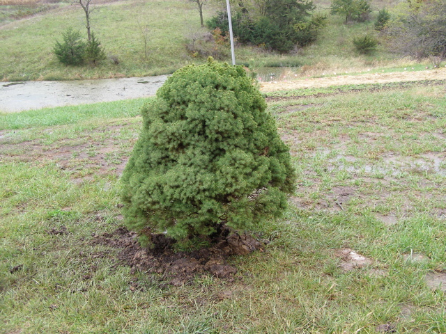 PA145819.JPG