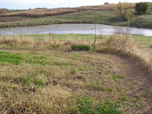 PA225853.JPG