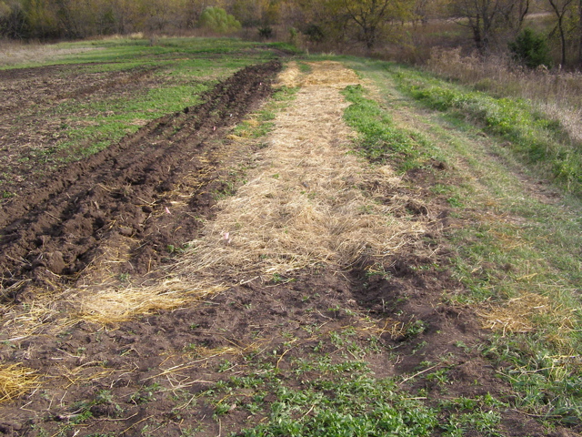 PA225856.JPG