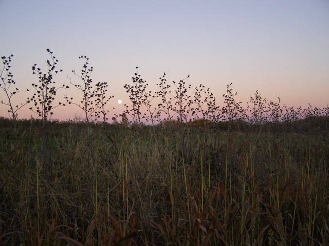 PA255881.JPG