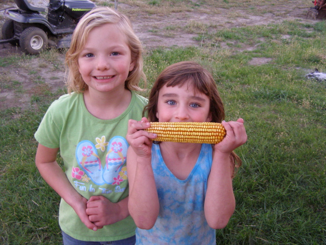 PA255888.JPG