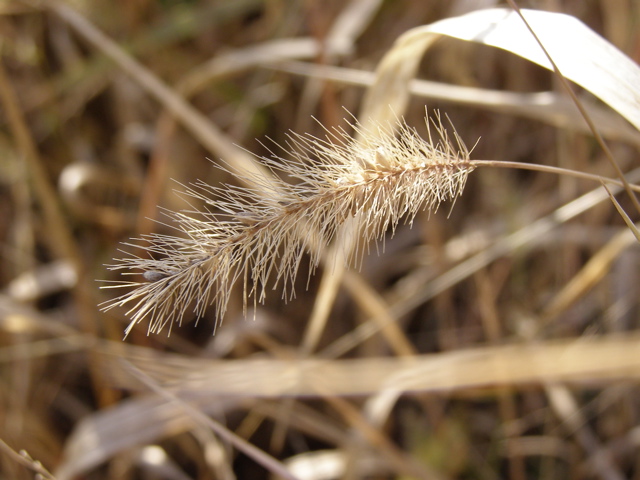 PA275900.JPG