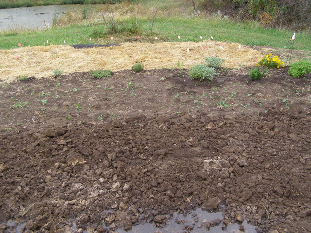 PA075810.JPG