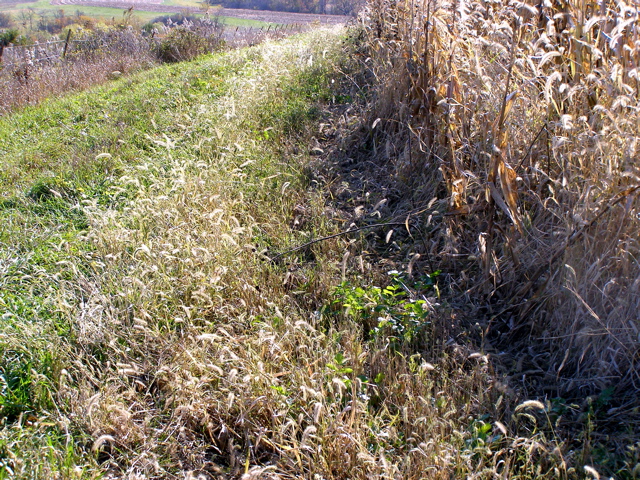 PA275913.JPG