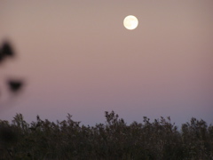 PA255884.JPG