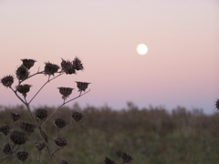 PA255885.JPG