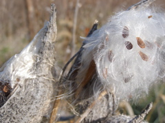 PA275894.JPG