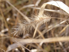 PA275900.JPG