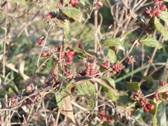PA275912.JPG