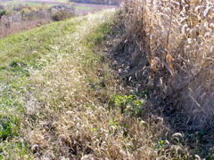 PA275913.JPG