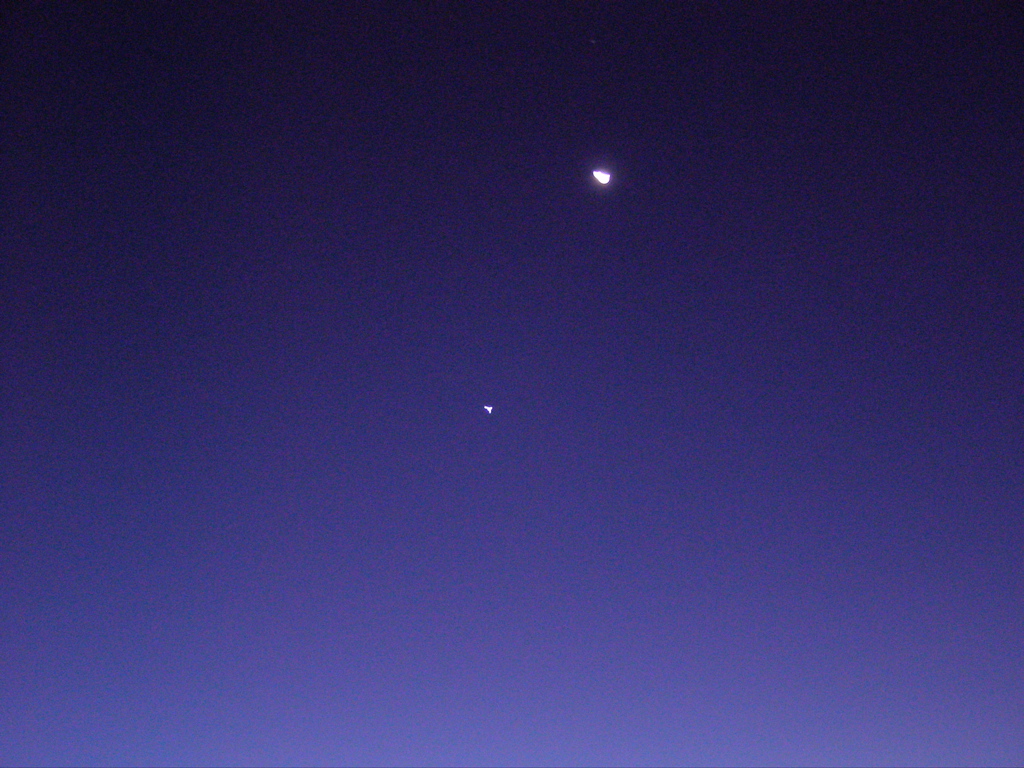 PB046026.JPG