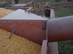 PB025986.JPG