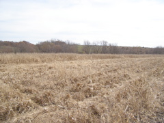 PB036001.JPG
