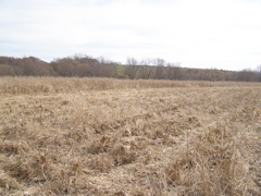 PB036002.JPG