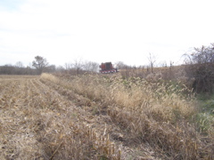 PB036003.JPG