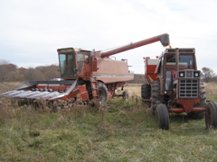 PB036005.JPG