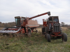 PB036006.JPG